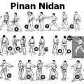 Pinan nidan